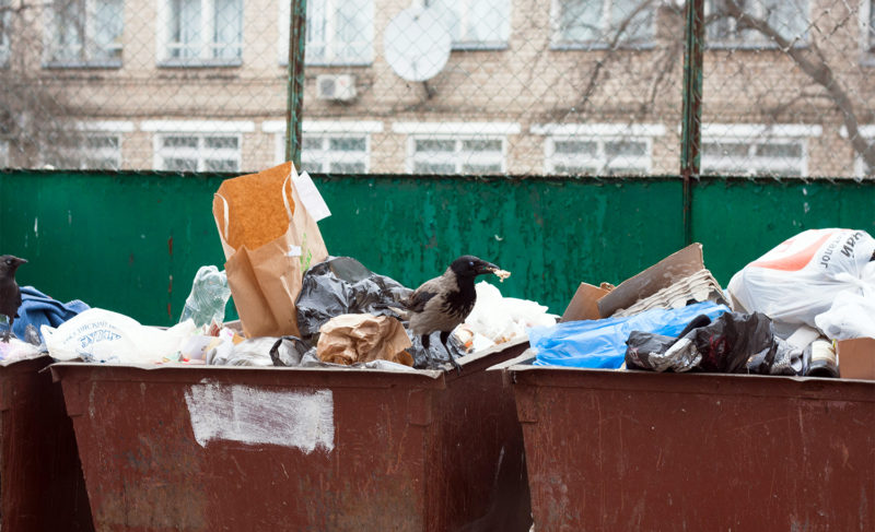 В Волжском мусор теперь собирают раздельно