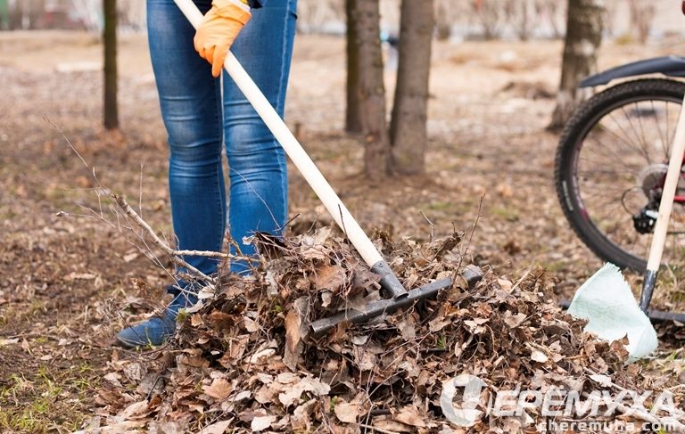 Рыбинские педагоги присоединились к борьбе с мусором. Фоторепортаж