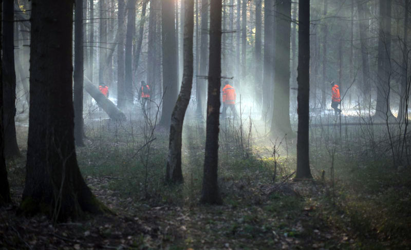 Пропал близкий человек. Что делать? Разбор