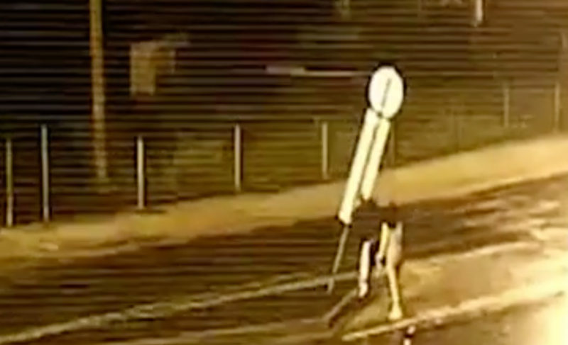 Круговое не понравилось: в Рыбинске ищут вандала с видео, который сломал знаки на Советской площади