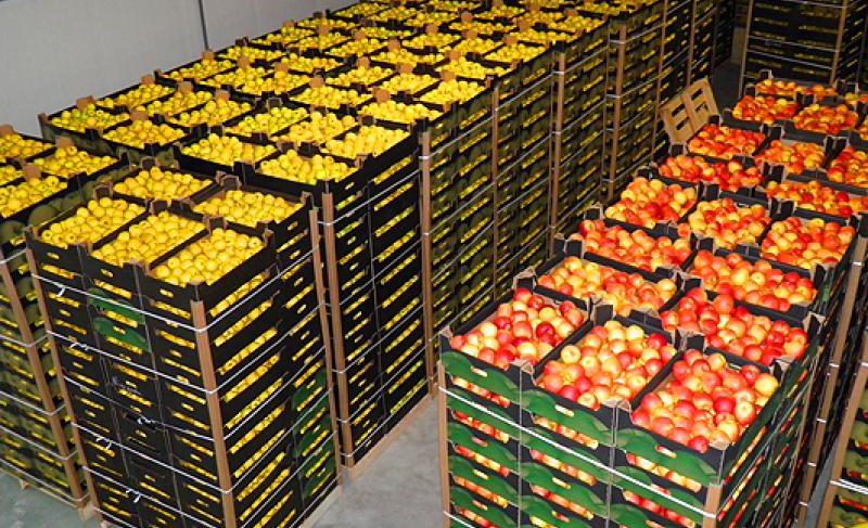 Рыбинский предприниматель незаконно привёз 18,5 тонн овощей и фруктов