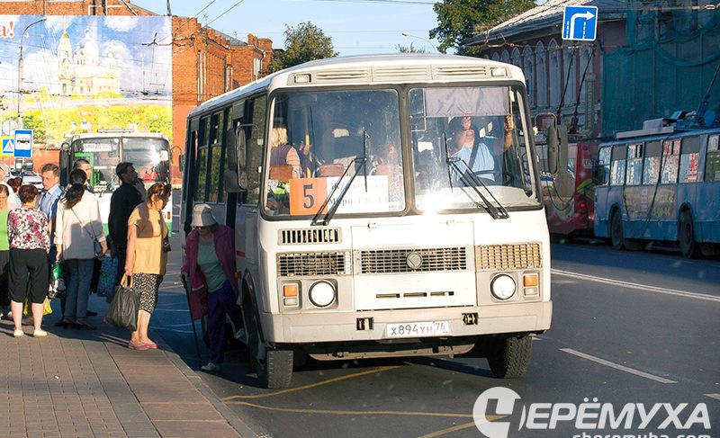 В Ярославской области ввели новую меру поддержки многодетных