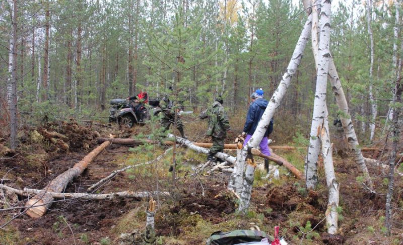 Рыбинский поисковый отряд поднимает самолёт из болота