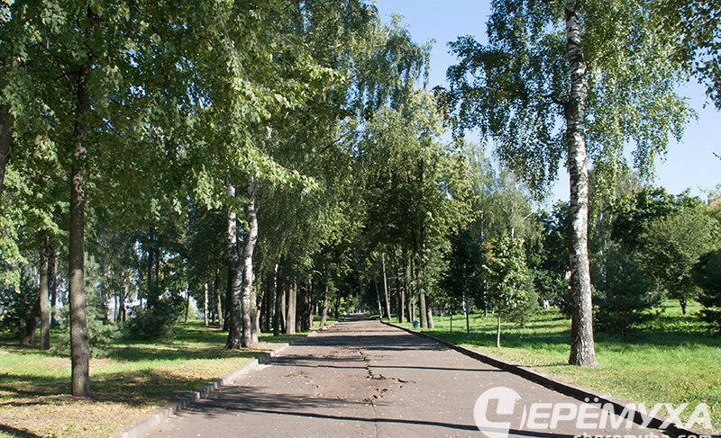 230 тысяч рублей — на стрижку кустарников