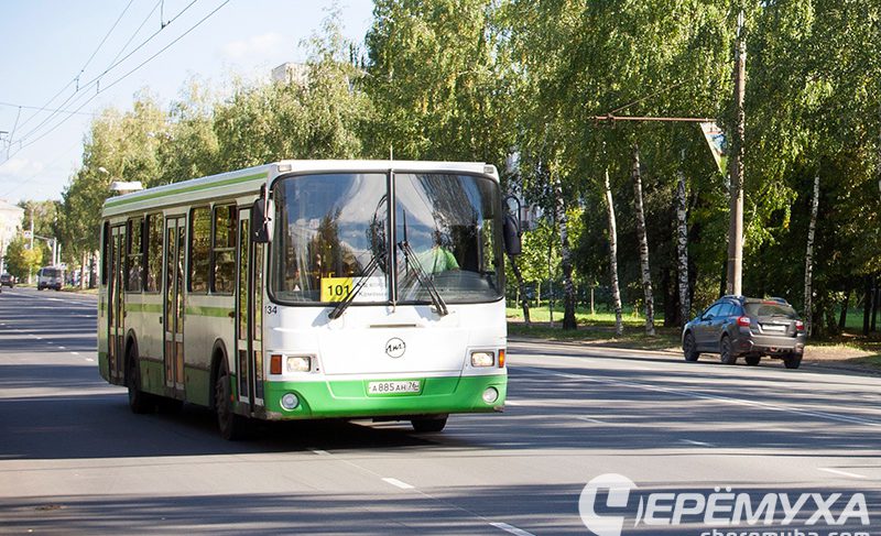 Льготный проездной в Рыбинске подорожает