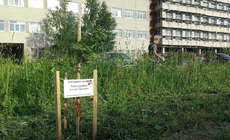 На бульваре Победы нужна помощь