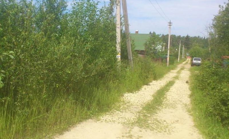 Областная дума объявила войну дачному бездорожью