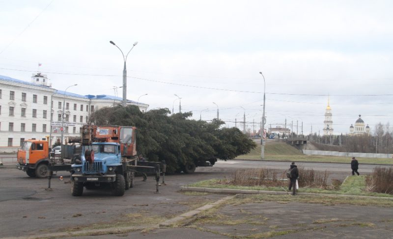 Новогоднее настроение: в Рыбинске установили живую ель