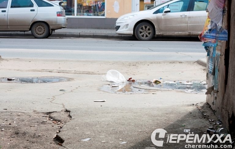 Будем наводить порядок! На следующей неделе в Рыбинске начнётся месячник по уборке города