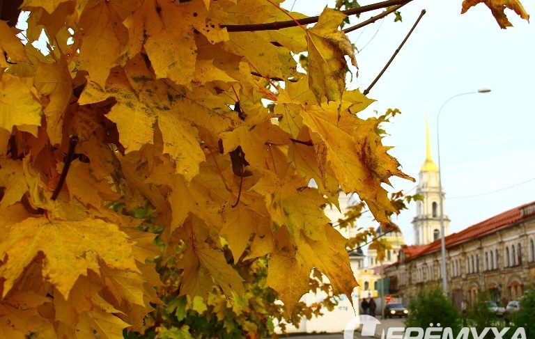 Попали в циклон: погода на выходные