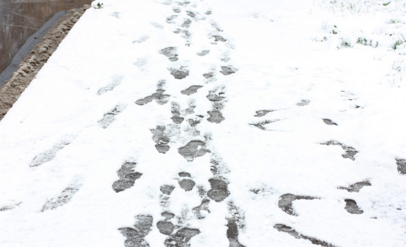 Выходим на «минус». Но снега не обещают