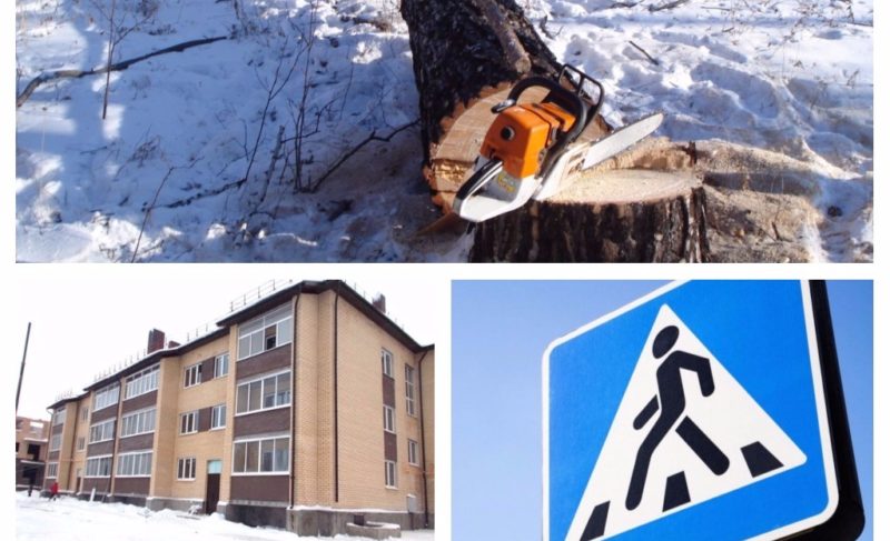 Вырубил деревья на 770 тысяч; долгострой на Гражданской сдали; в ДТП пострадал подросток: новости 8-го декабря