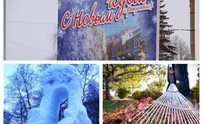 В числе самых добрых людей; новогоднее настроение; построим горку: новости 11-го декабря