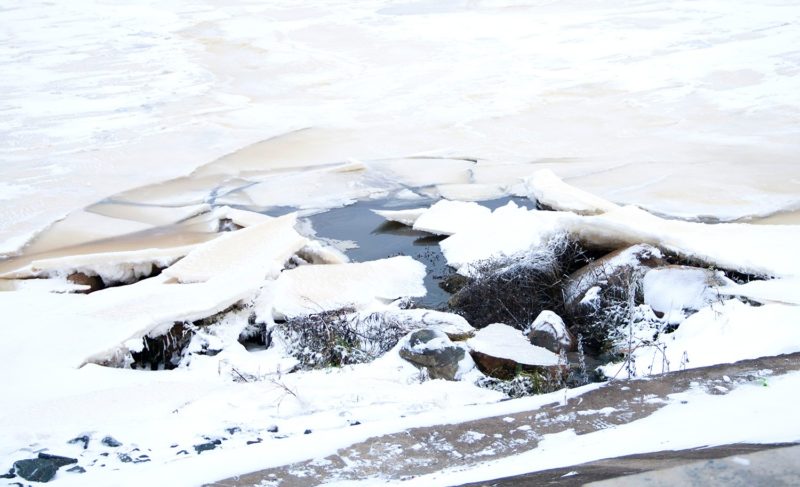 Спасение утопающего, пожар в пиццерии и обман на 100 тысяч — сводка происшествий