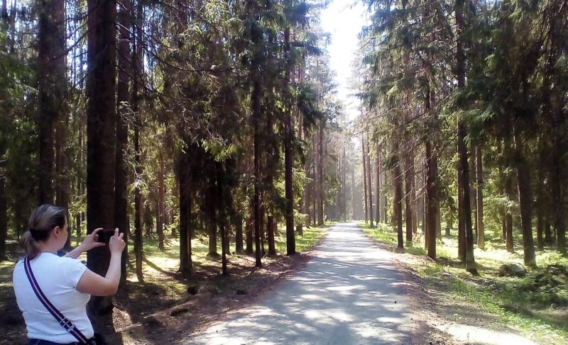 «Заповедный лес»: под Рыбинском появился новый туристический объект