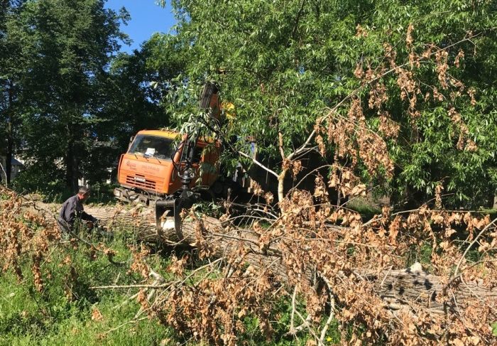 Карякинский парк: рыбинцы за снятие статуса особо охраняемой природной территории