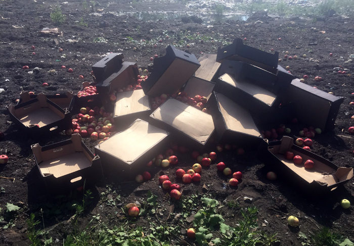 Таможенники изъяли крупную партию яблок на рыбинской базе. Яблоки раздавили бульдозером