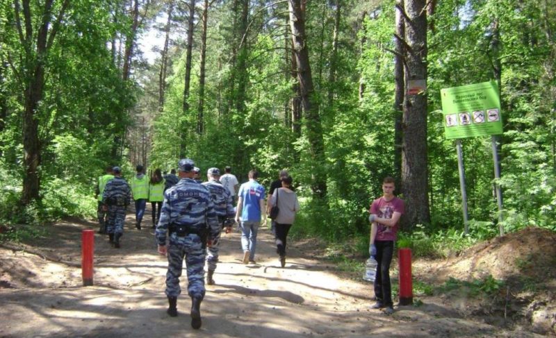 Штраф вместо отдыха: рыбинцев наказали за въезд в Высоковский бор