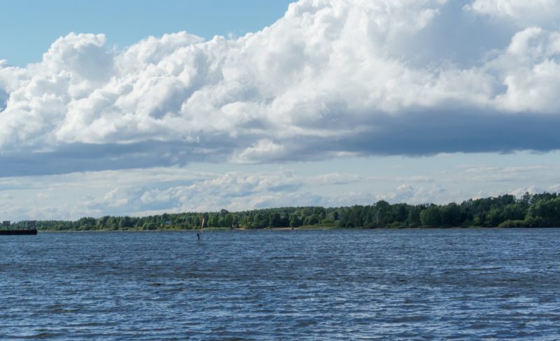 «Надо бороться»: что делают рыбинские активисты, чтобы добиться отмены строительства ЦБК на водохранилище