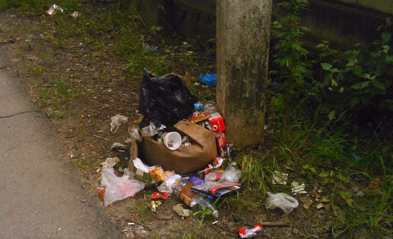 Фото на фоне мусорной кучи