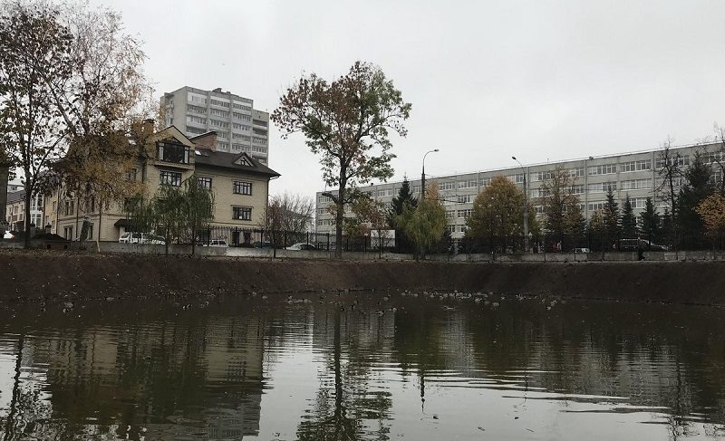 В пруду Карякинского парка поселили новых рыб