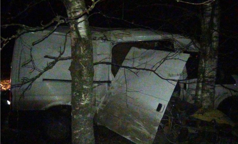 В ДТП с микроавтобусом, который врезался в дерево, пострадали два человека