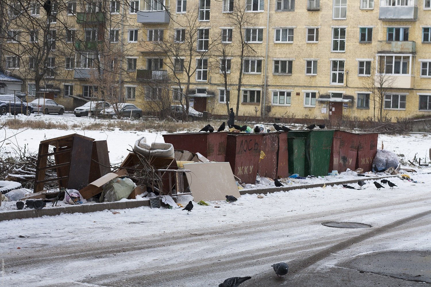 Вывоз мусора в Ярославской области станет дешевле | Черёмуха