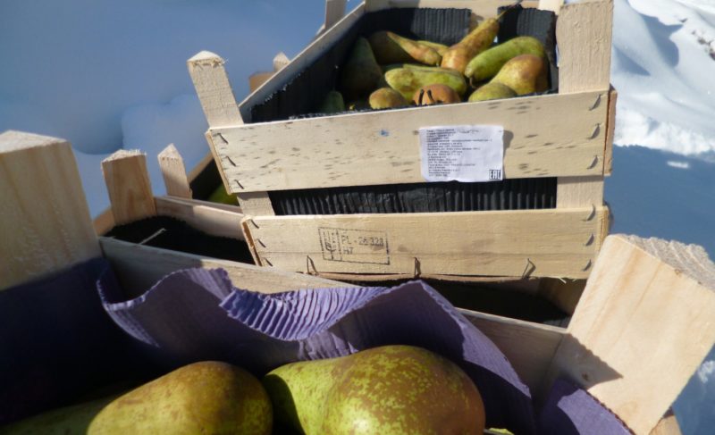 За год в регионе под бульдозер отправили более двух тонн санкционных овощей и фруктов. Видео