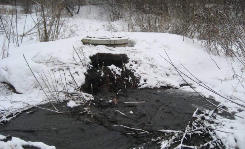 Кто виноват в загрязнении Гремячевского ручья?