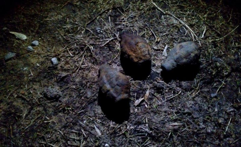 В Рыбинске нашли три взрывоопасные гранаты