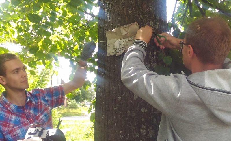 Активисты снимают рекламу с деревьев и приглашают единомышленников присоединиться