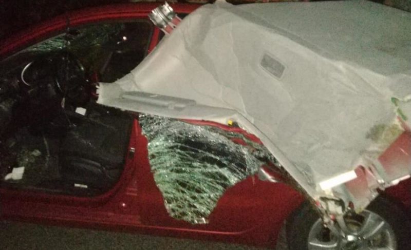 Сбитый лось и столкновение с мотоциклистом — сводка ДТП