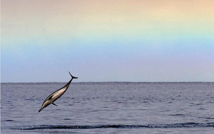 Хорошие новости. О новом турмаршруте, оборудовании больниц и не только