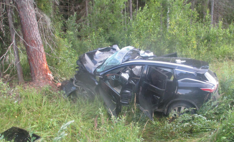 Два сбитых пешехода и съезд в кювет: сводка дорожных происшествий