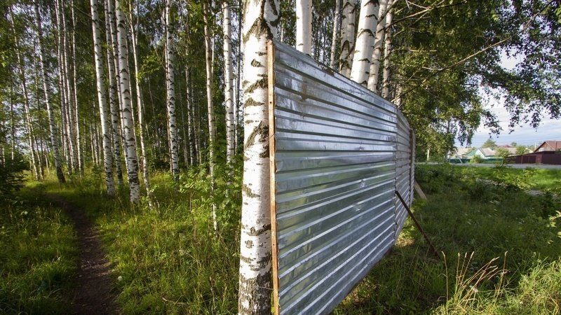 Участки в берёзовой роще: Добряков решил провести служебное расследование