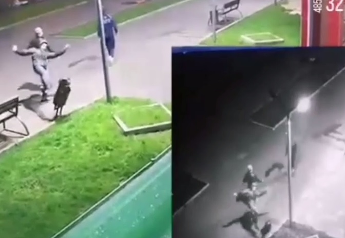 Снова вандализм? На Аллее Моторостроителей повредили урны. Видео