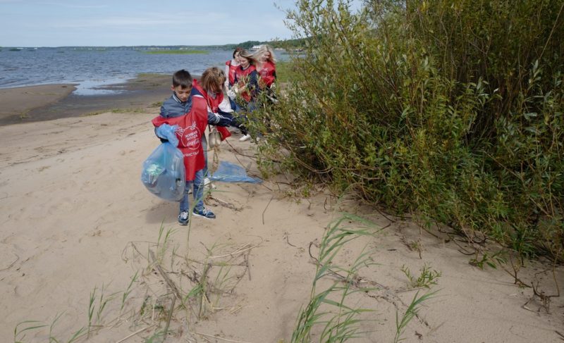 «Живая Волга»: жителей региона приглашают присоединиться к экологической акции. Она пройдёт под Рыбинском