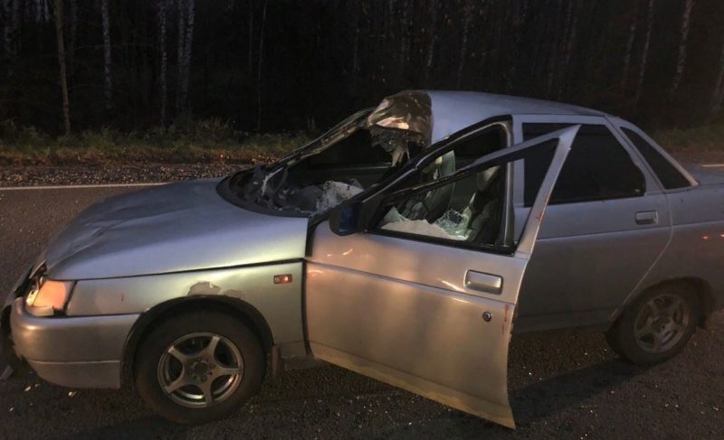 В ДТП с лосем пострадали два человека