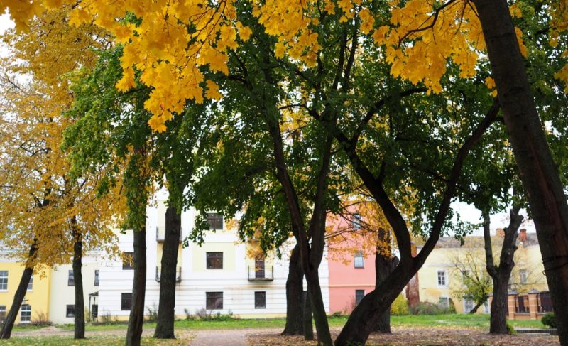 Благоустройство Лозовского сквера завершается. Фото