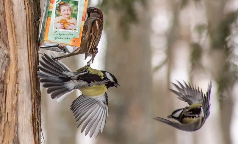 Выходим на «плюс»! Кажется, в Рыбинск пришла весна