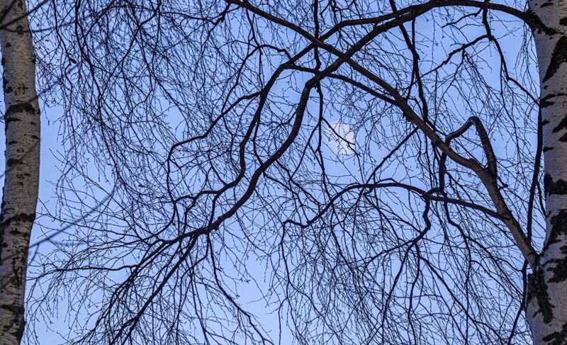 Вот и весна! Но на следующей неделе в Рыбинске похолодает