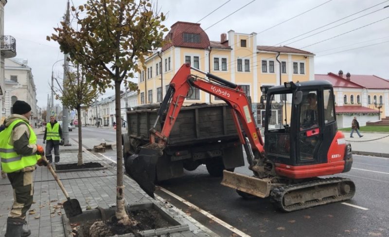 Сэкономили на деревьях. Стоимость контрактов на посадку деревьев Рыбинске упала почти в три раза