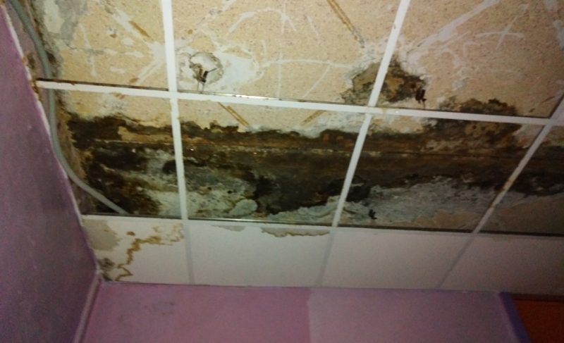 Департамент образования: о проблеме в детском саду на проспекте Серова мы знали до поста в соцсетях