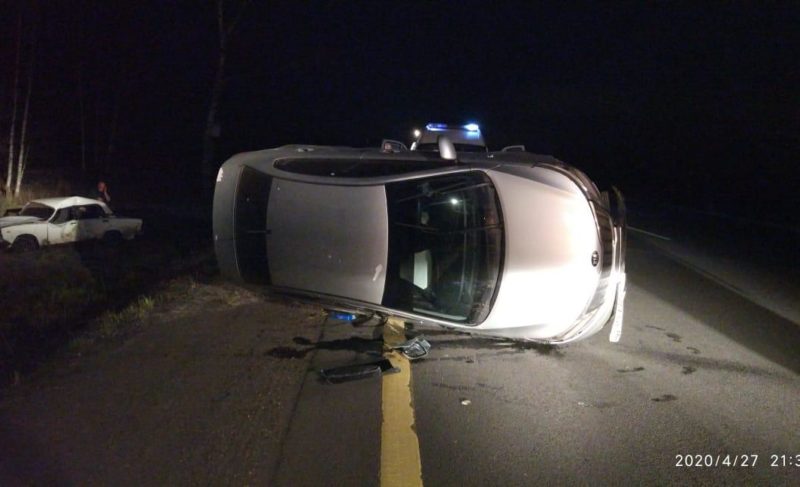 Ещё на одном участке трассы Рыбинск — Ярославль установят защитные ограждения от диких животных