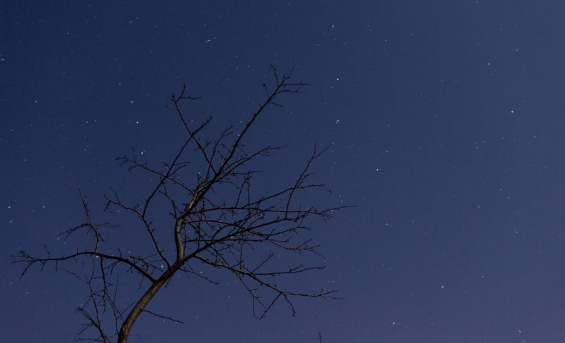 «На границе света и тени кратеры выползают из темноты». Николай Козерин рассказал «Ч» об астрономических наблюдениях