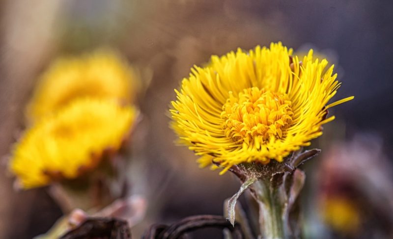 Ветреные дни. Какой будет погода в Рыбинске?