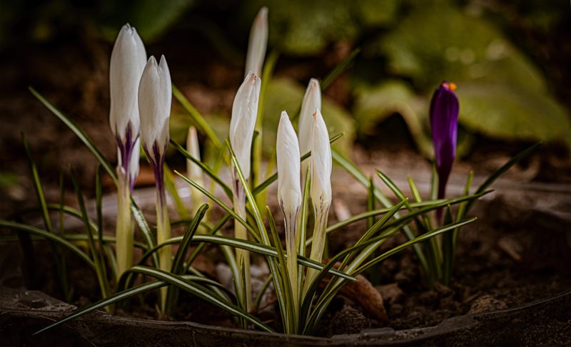 «Люблю грозу в начале мая». Какими будут большие выходные в Рыбинске? Прогноз погоды