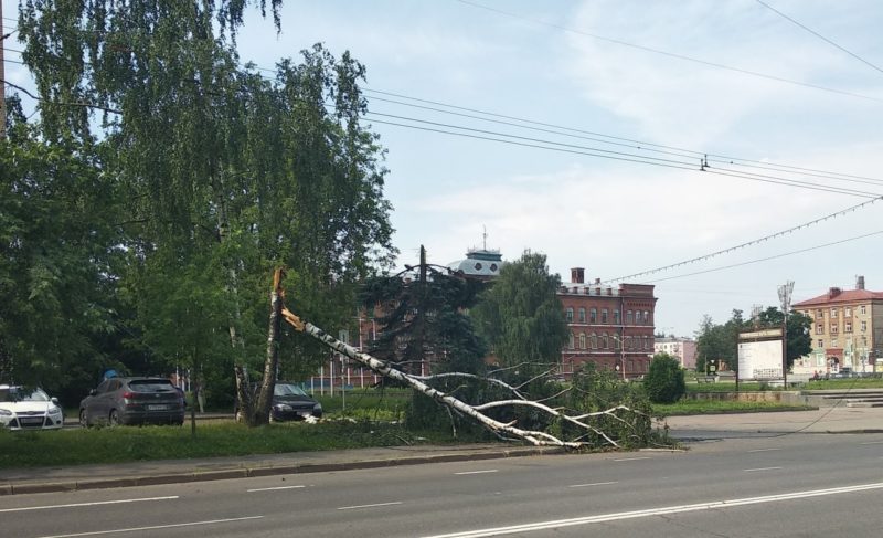 Упавшие деревья и отключения электричества: каковы последствия непогоды в Рыбинске и районе