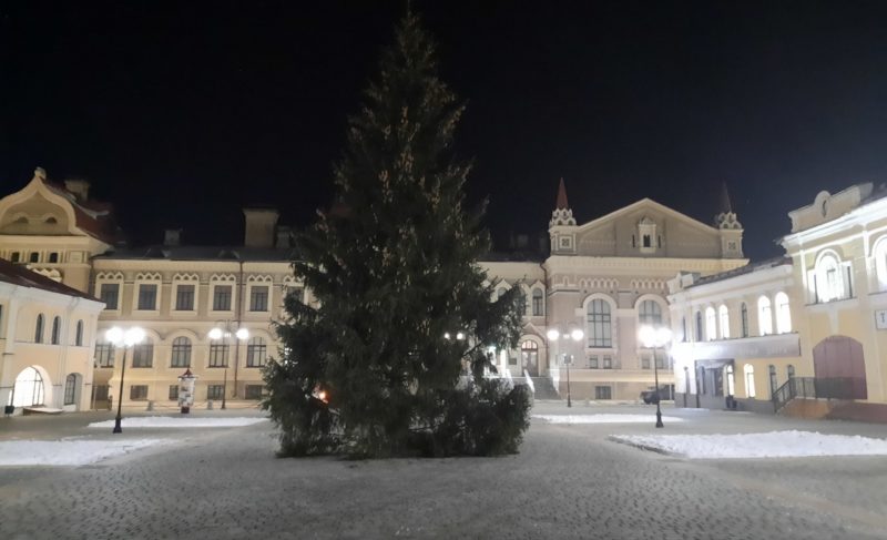 Ель для Красной площади спилили в черте города. Комментарий администрации Рыбинска