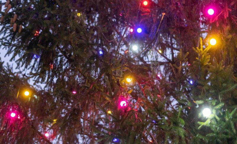 За 31-е декабря отработаем заранее? Дмитрий Миронов подписал указ о переносе рабочего дня